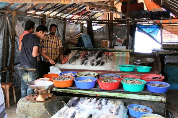 Pêche des chinese fishing nets à Fort Kochi