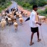 Bangalore - Village rural