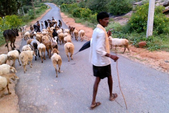 Bangalore - Village rural