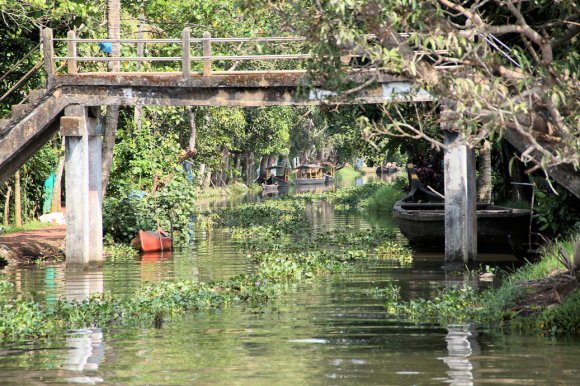 Canal secondaire dans les Backwaters du Kerala