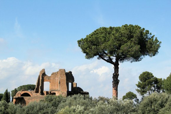 Villa Adriana - Bibliothèque