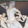 Vatican - le Laocoon