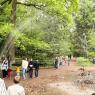 Fontaine arrosant les visiteurs